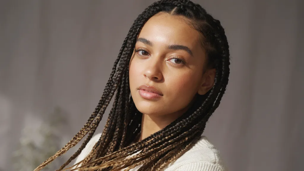 Ombre Knotless Braids