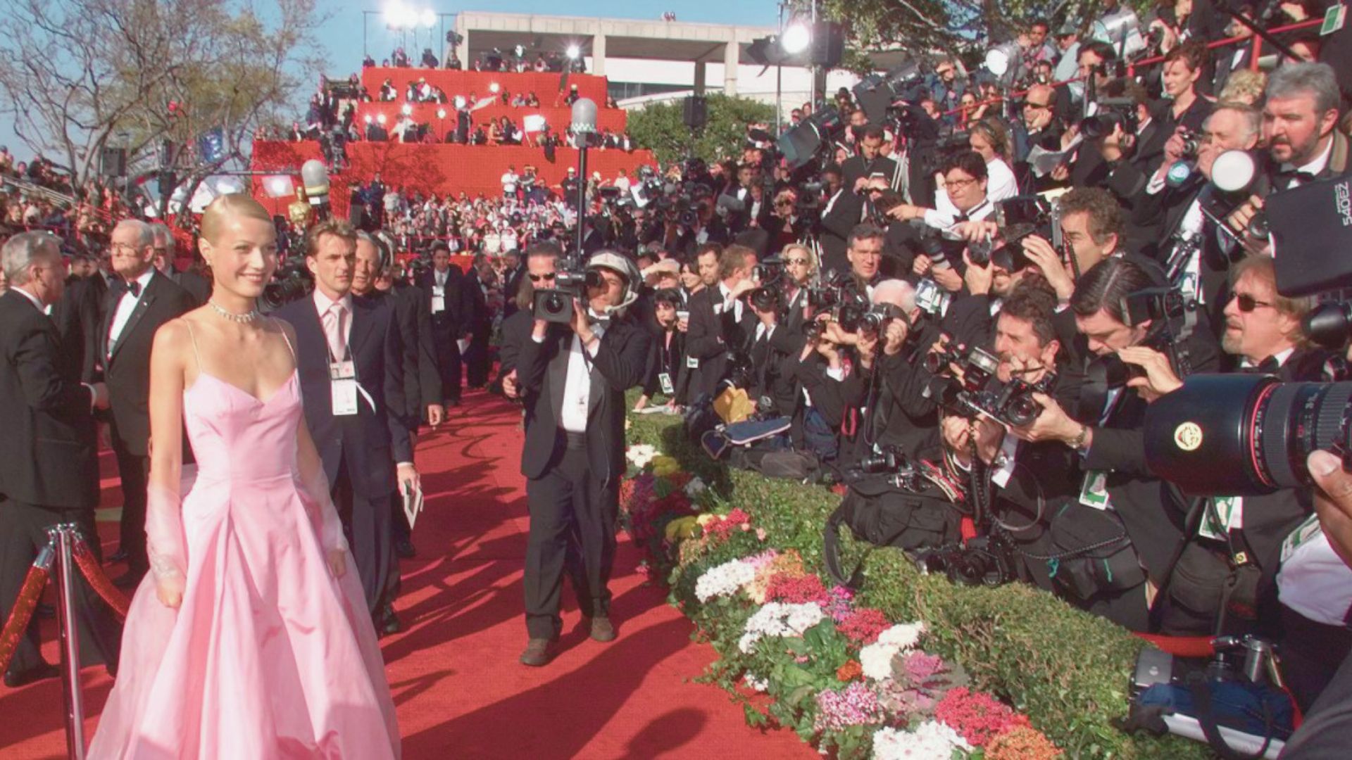 Cultural Impact of the 1999 Oscar Dress