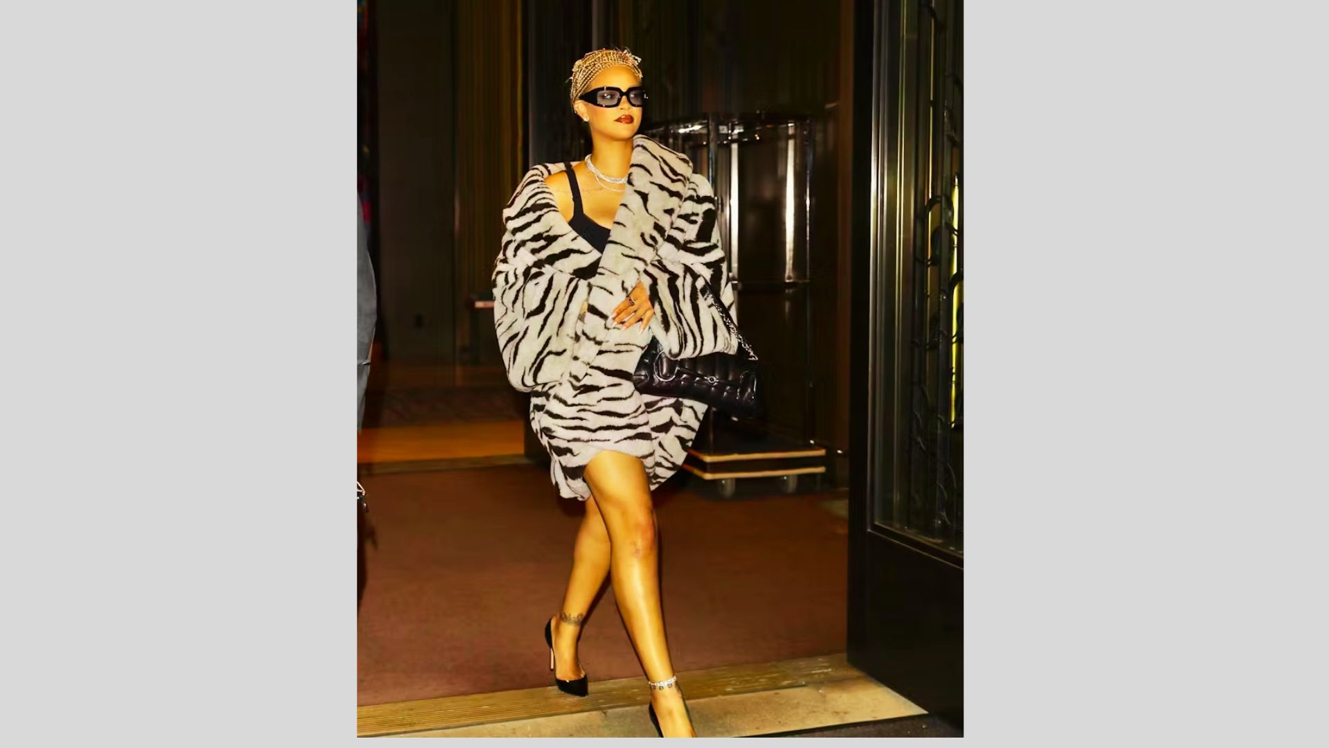 Zebra Gal