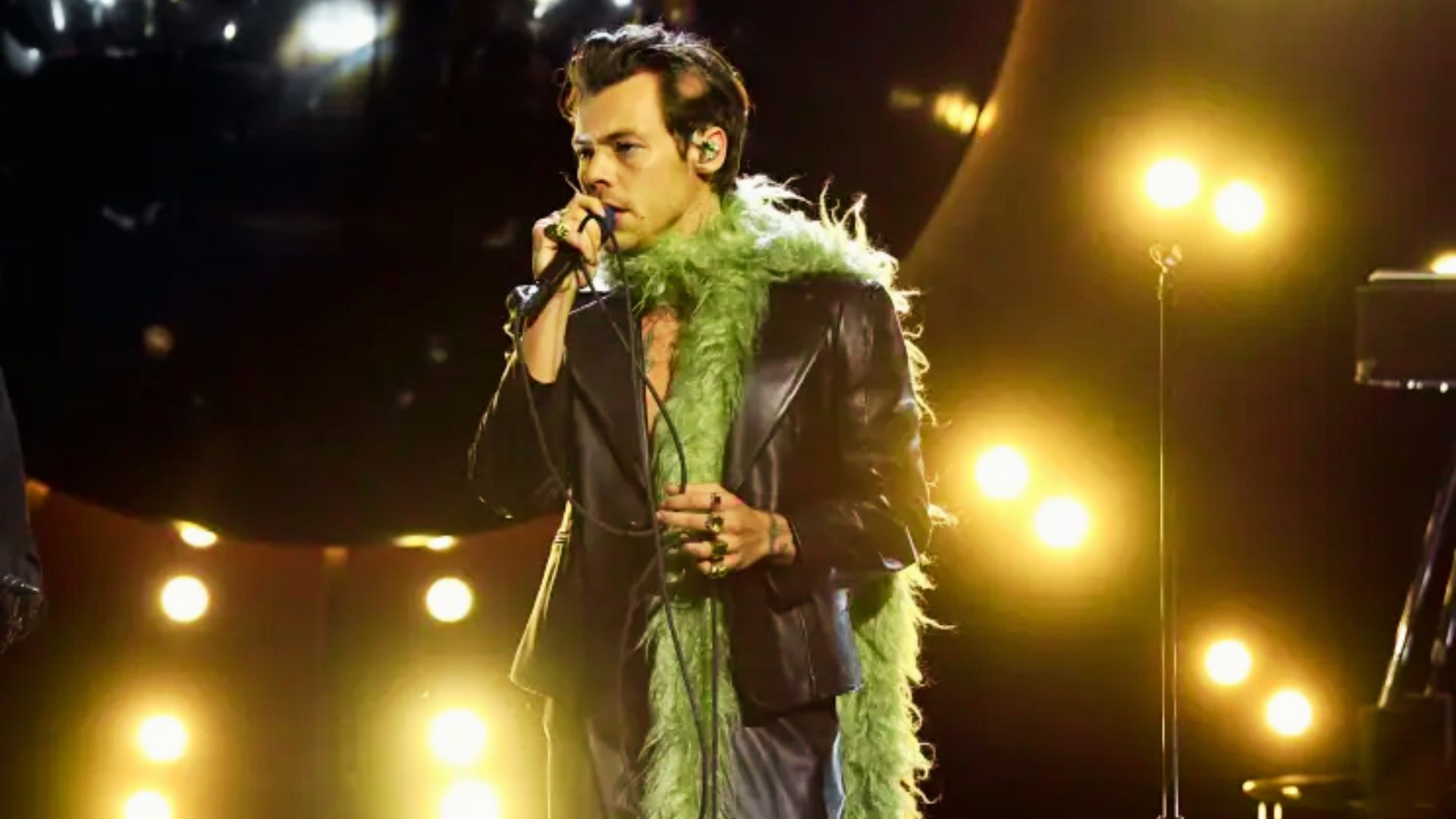The Green Feather Cape at the Met Gala