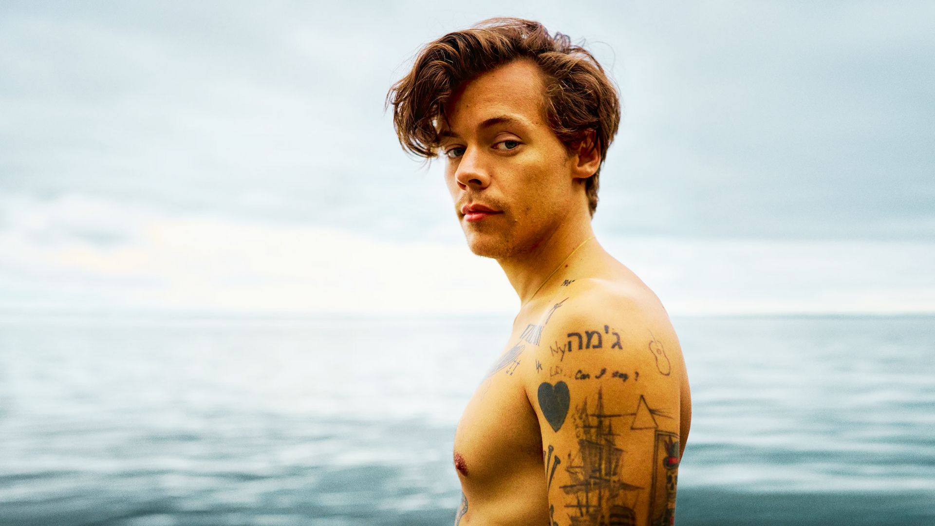 Who is Harry Styles