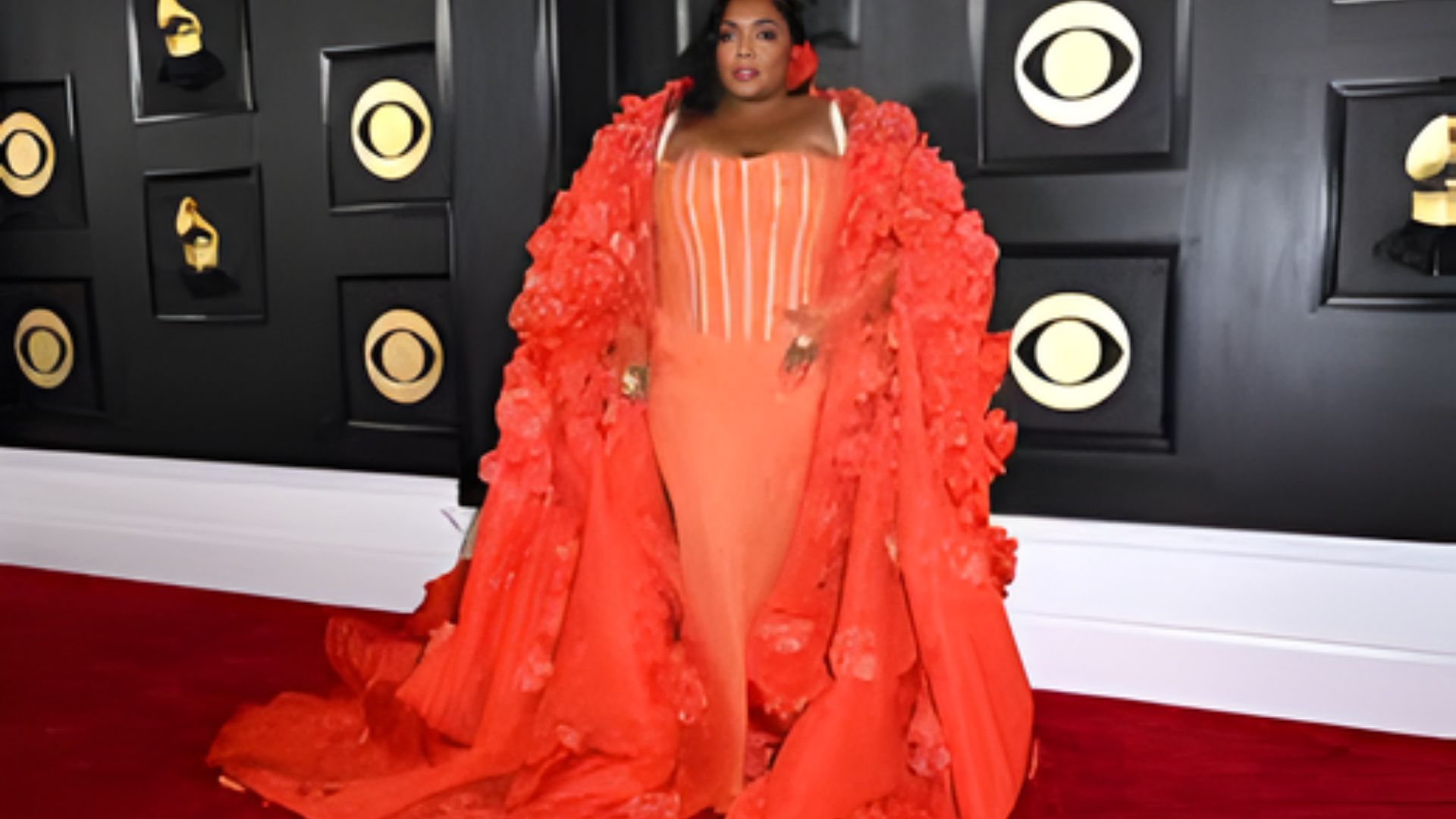Red Carpet Lizzo Dress Moments