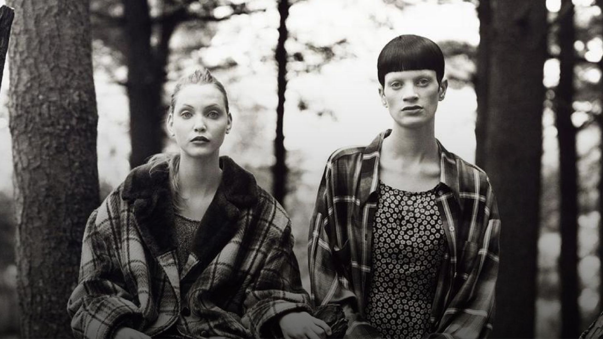 Two women in plaid shirts sitting together on a log in a serene wooded area, surrounded by trees and greenery.