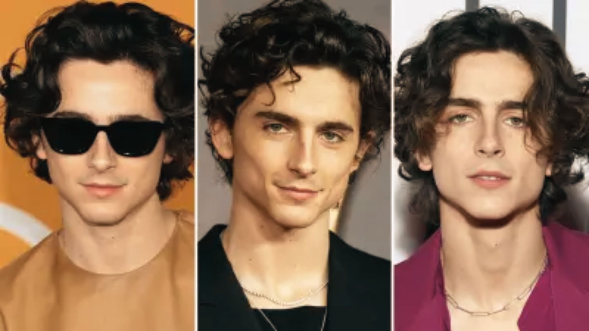 Three images showcasing Timothee Chalamet various styles of curly hair, each with distinct expressions and backgrounds.
