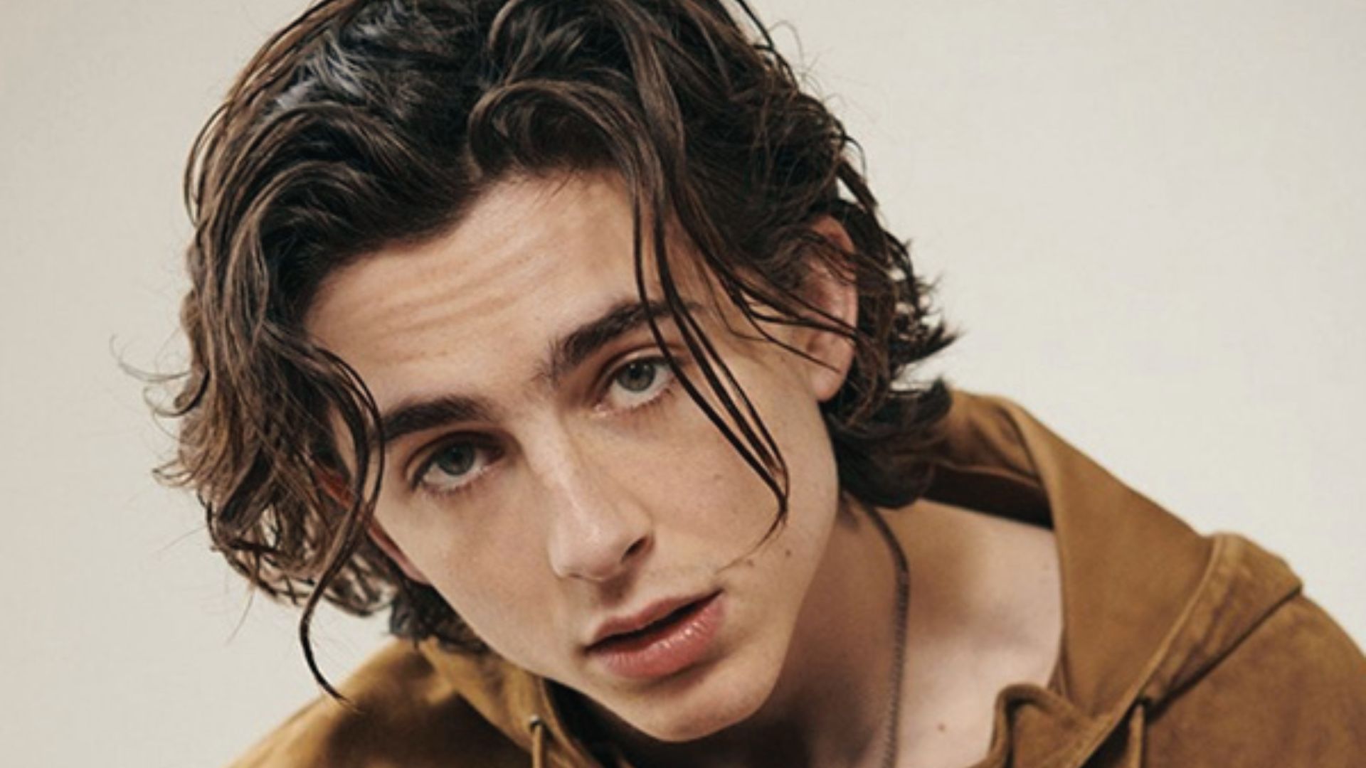 Timothee Chalamet in long hair wearing a brown jacket stands confidently, showcasing a casual yet stylish hairlook.