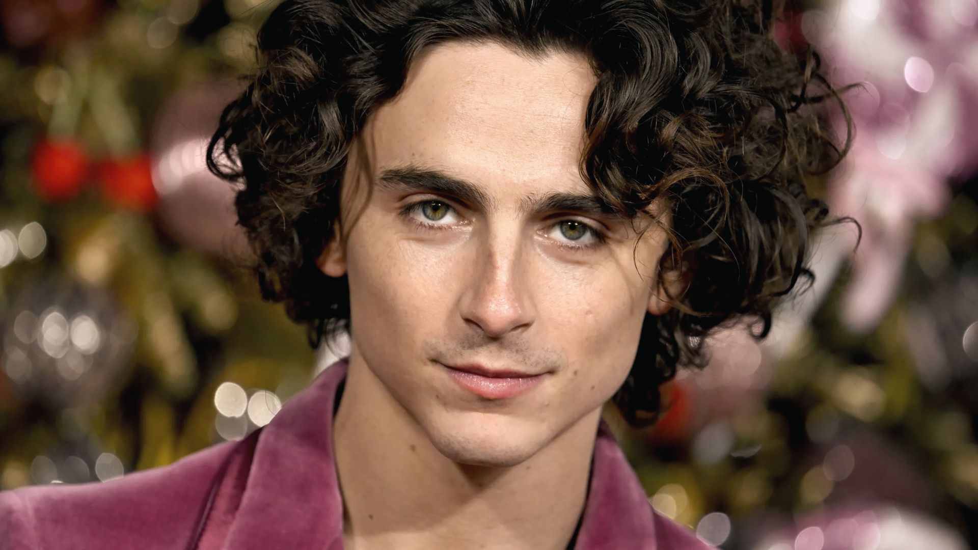 Timothee Chalamet in curly hair wearing a vibrant purple suit, standing confidently with a neutral expression.